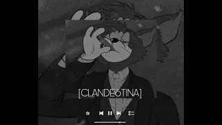 ||JVSTIN  CLANDESTINA|| TikTok Remix || MUSIC_VIBES ||