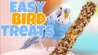 How to Make Easy Treats For Birds Under 3 Minutes!