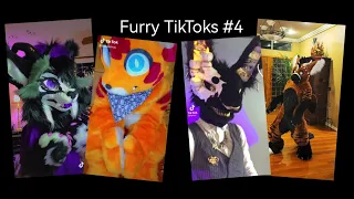 Furry TikTok Compilation #4