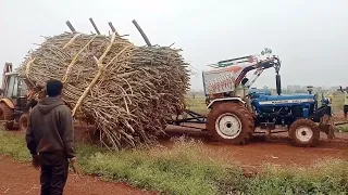 😱 sugar cane loading failed