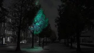 Glow-in-the-dark trees could replace street lights says Daan Roosegaarde