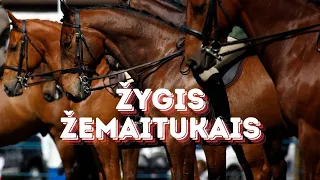 Žygis žemaitukais paskui Dubysą