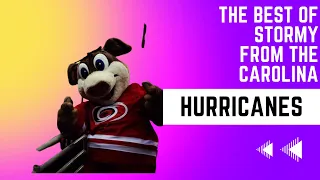 The Best of The Carolina Hurricanes Mascot Stormy On Tiktok