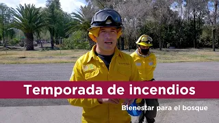 Preparación física de combatientes / Temporada de incendios 2022