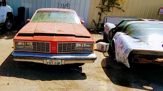 2 For 1 Special. 1979 and 1985 Oldsmobile Delta 88 Junkyard Finds