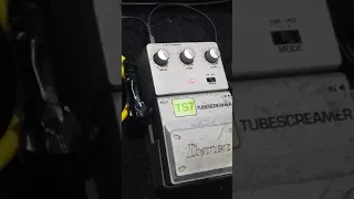 ibanez TS7 tube screamer TS9 VS hot modes at Marshall MB60 #guitar #shorts