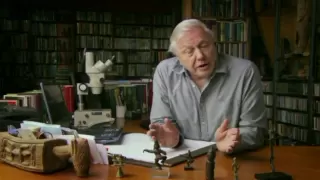 David Attenborough, Inaccuracies in Darwin and the Tree of Life (Evolution Principle-MJM)