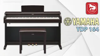 Цифровое пианино YAMAHA YDP-164