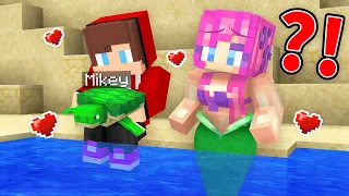 Mikey Became Turtle with JJ and Mermaid - Maizen Minecraft Animation