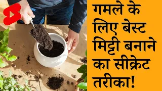 गमले के लिए बेस्ट मिट्टी बनाने का सीक्रेट तरीका #shorts #gardening #terrace_gardening