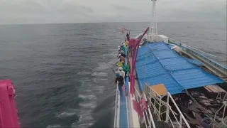 遠洋カツオ一本釣り 遠洋漁業 日本近海 カツオ 操業 skip jack tuna