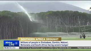 Drought in Southern Africa leaves millions facing severe hunger