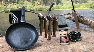 Fly Fishing For Brook Trout In The Mountains! (Catch and Cook)