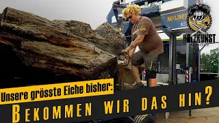 Bekommen wir das hin? Unsere größte Eiche bis jetzt / Holzkunst Scholz offiziell