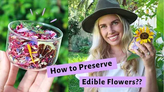 How to Preserve your EDIBLE FLOWERS // What Time of Day is Best to Pick Flowers?