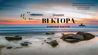 Занятие 2. Кожный вектор. Тренинг  Вектора. Проект Вячеслава Юнева