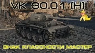 VK 30.01 (H) - Знак классности мастер