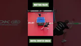 Mattias Falck BRUTAL COUNTER SMASH! #shorts #tabletennis