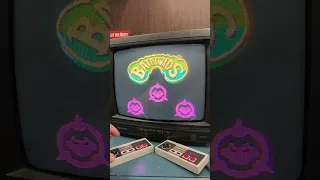 Battletoads on the NES