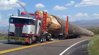 Dangerous Extreme Large Wood Logging Operator Truck Skill, Amazing Oversize Heavy Equipment Driving