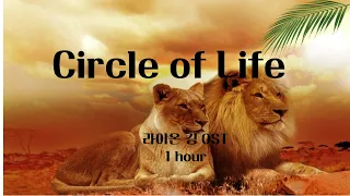 (1시간반복) 라이온킹 circle of life 1시간