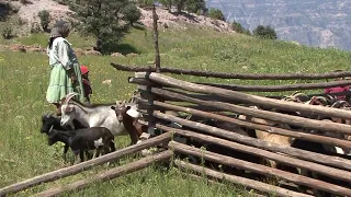 "Raramuri", Barranca del Cobre, MX