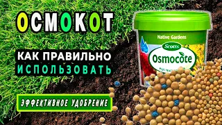 Осмокот - удобрение пролонгированного действия. Как правильно применять? Нюансы использования