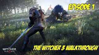 The Witcher 3 Walkthrough Ps4 1080p | Ep.1