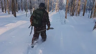 Установка капканов на соболя