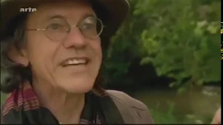 L'ortie Documentaire pour mieux comprendre les plantes sauvages & le jardin potager en permaculture