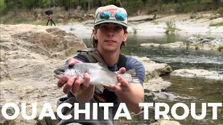 RAW Fly Fishing Footage- Catching AWESOME Ouachita Trout!!