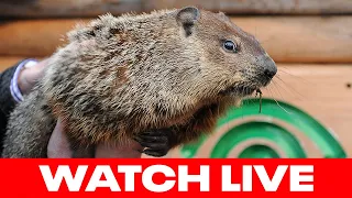 Punxsutawney Phil and Staten Island Chuck give their Groundhog Day prediction