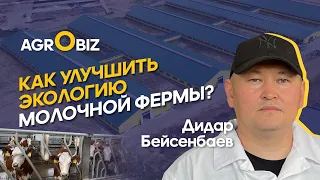 Надои симменталов, рацион, осеменение, озонирование и правильное навозоудаление КРС﻿ | Крон Агро