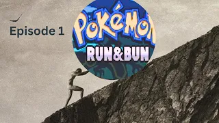 Nuzlocking the hardest pokemon game ever made