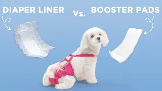 Diaper Liners vs Booster Pads: Which is the Best Option for Your Dog?