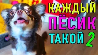 КАЖДЫЙ ПЕСИК ТАКОЙ 2 | ПАРОДИЯ Magic Pets