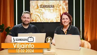 Scandagra VILJAINFO 13.02.2024