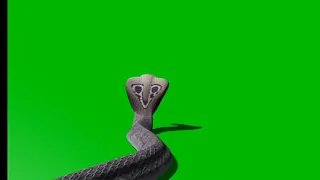 Green screen cobra video