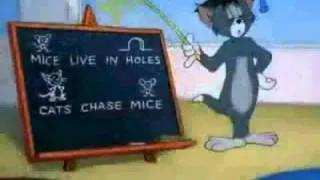 TOM & JERRY PROFESSOR GUIDE