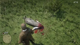 RDR2 - Using Seamus as a Football