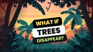 What Happens if all Trees Disappear? 10 Catastrophic Consequences of DEFORESTATION