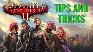 Divinity: Original Sin 2 Tips and Tricks!