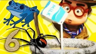 Oko y Lele - Sopa Pomposa - Dibujos animados divertidos