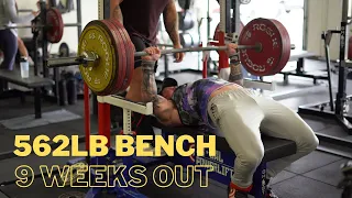 American Pro: 562lb Bench