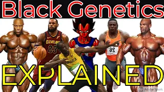 BLACK GENETICS EXPLAINED