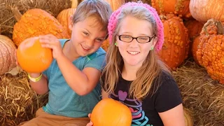 Осенняя традиция - тыквенная поляна. Pumpkin patch. Valentina Ok. LifeinUSA. жизнь в США.