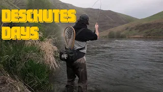 DESCHUTES DAYS | Solo Fly Fishing on the Lower Deschutes River