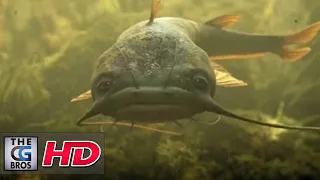 CGI VFX Spot : "Catfish"  by - Psyop Studios