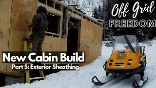 Solo Off Grid Cabin Build | Exterior Sheeting| Brrrrrr -10|