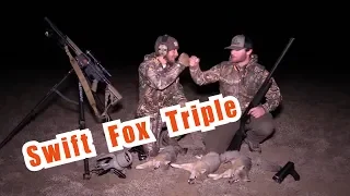 Swift Fox Triple and a Coyote with Red Lights